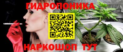 эйфоретик Чебаркуль