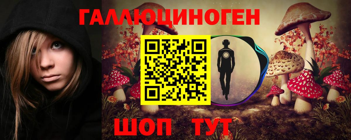 Моздок  Псилоцибиновые грибы GOLDEN TEACHER  Вход с VPN 